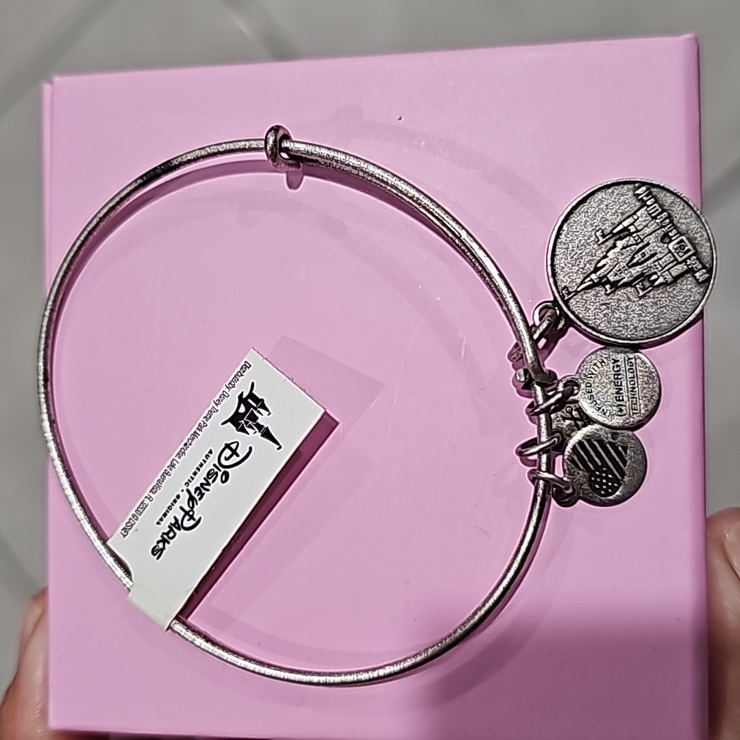 Alex And Ani Disney Castle Bracelet 24$